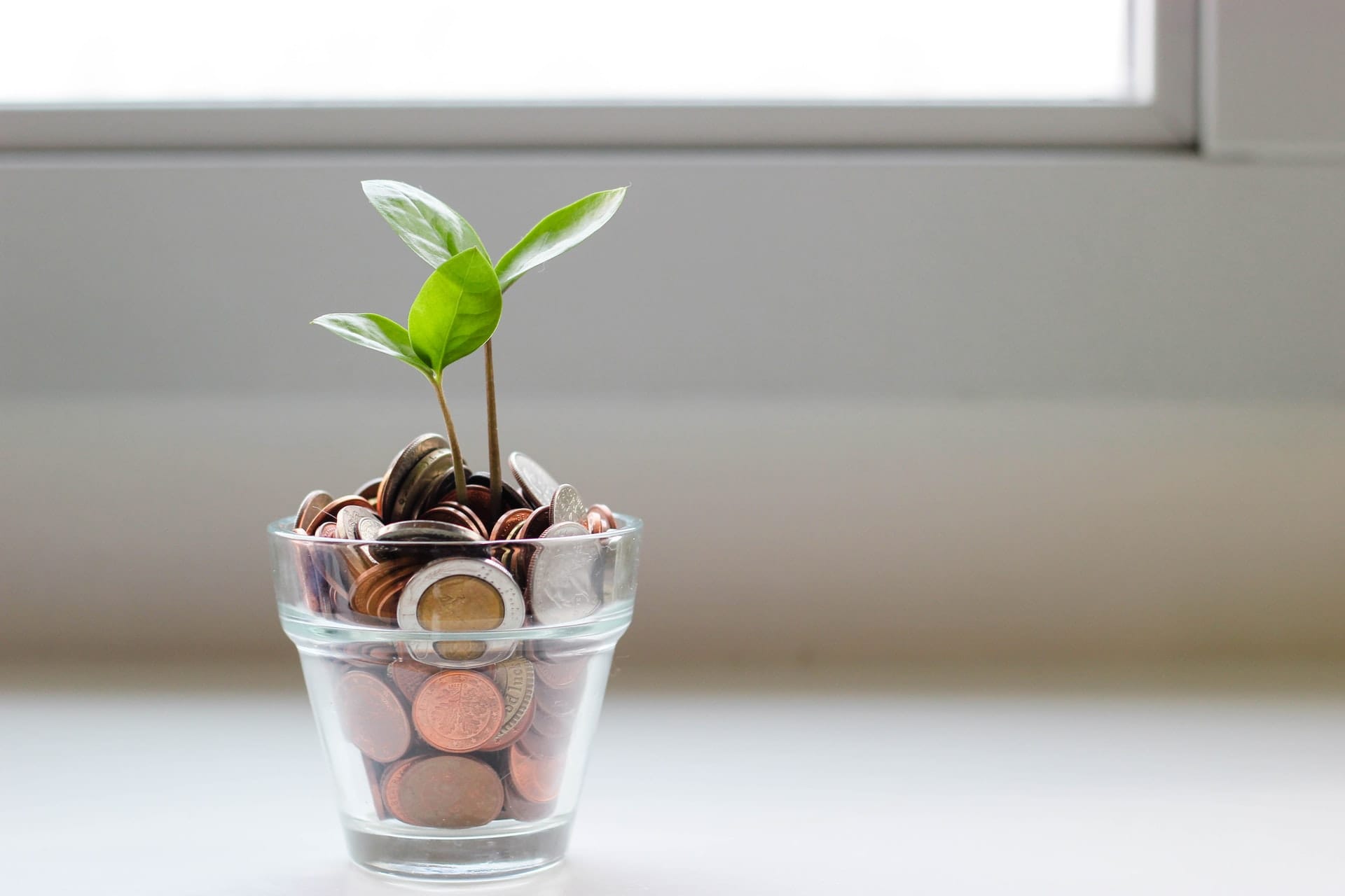 Image of pot with coins and a plant growing out of it