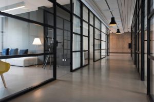 Sociedad Limitada Profesional (SLP)